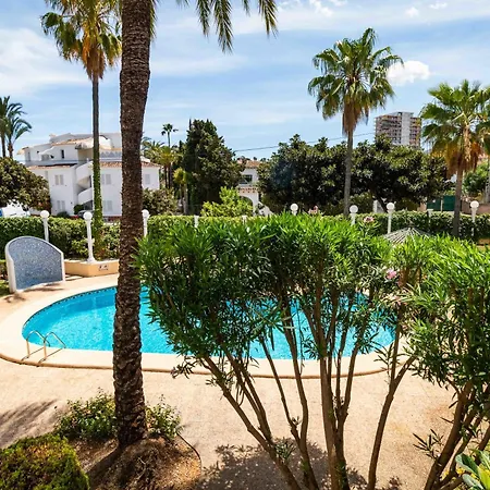 Oasis Junto A Rotas *